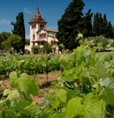 Wine Tours in Sitges